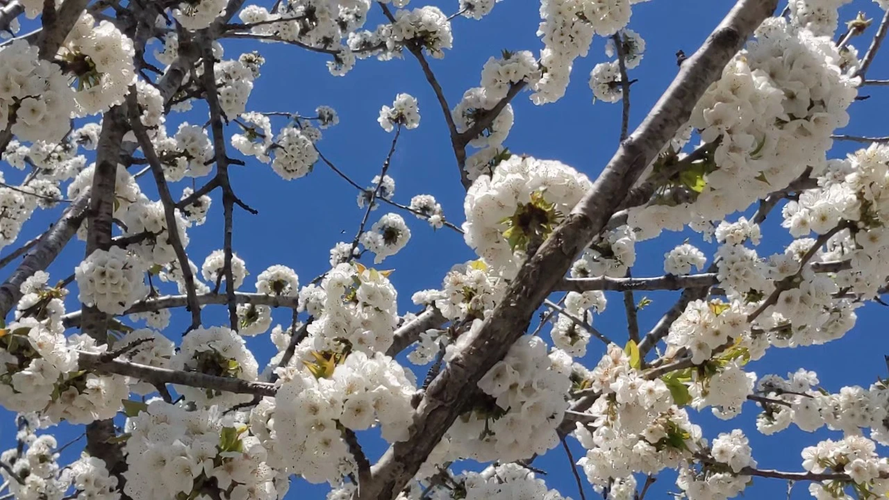 Spring in Montenegro